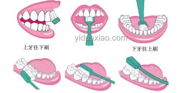 很多人都是這樣把牙刷壞的：正確刷牙方法揭秘
