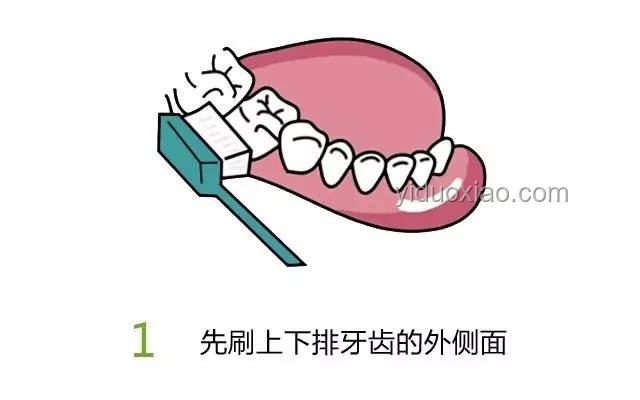 很多人都是這樣把牙刷壞的：正確刷牙方法揭秘