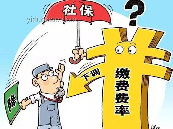 “時光錯位”創新啟示：山西一單位“1歲工作22歲退休”現象解析