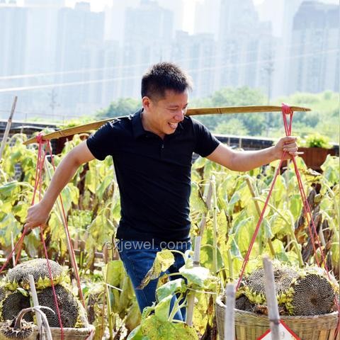 扁擔(dān)女孩的高考逆襲之路：汗水鑄就夢(mèng)想