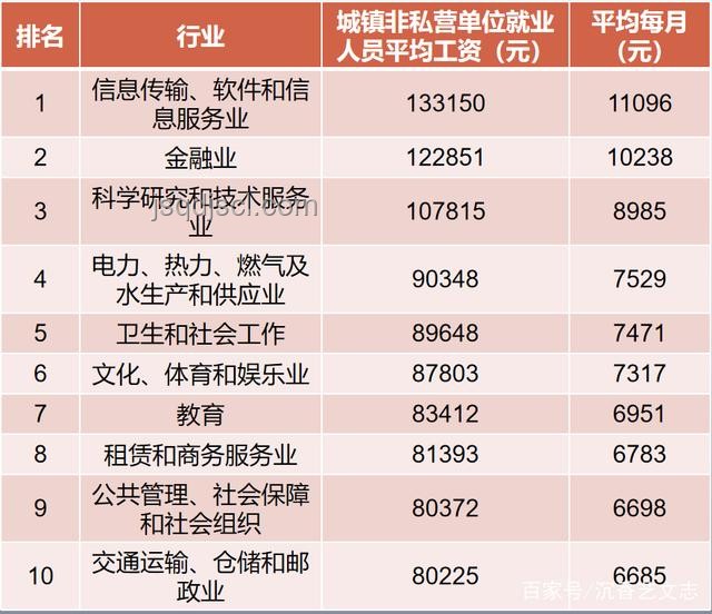 楊瀚森四年總薪資規劃方案