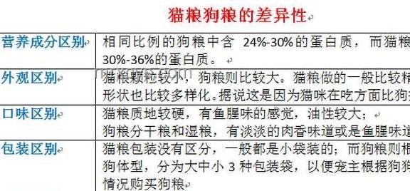文科生夜間守則：避免說吹海風的實用指南