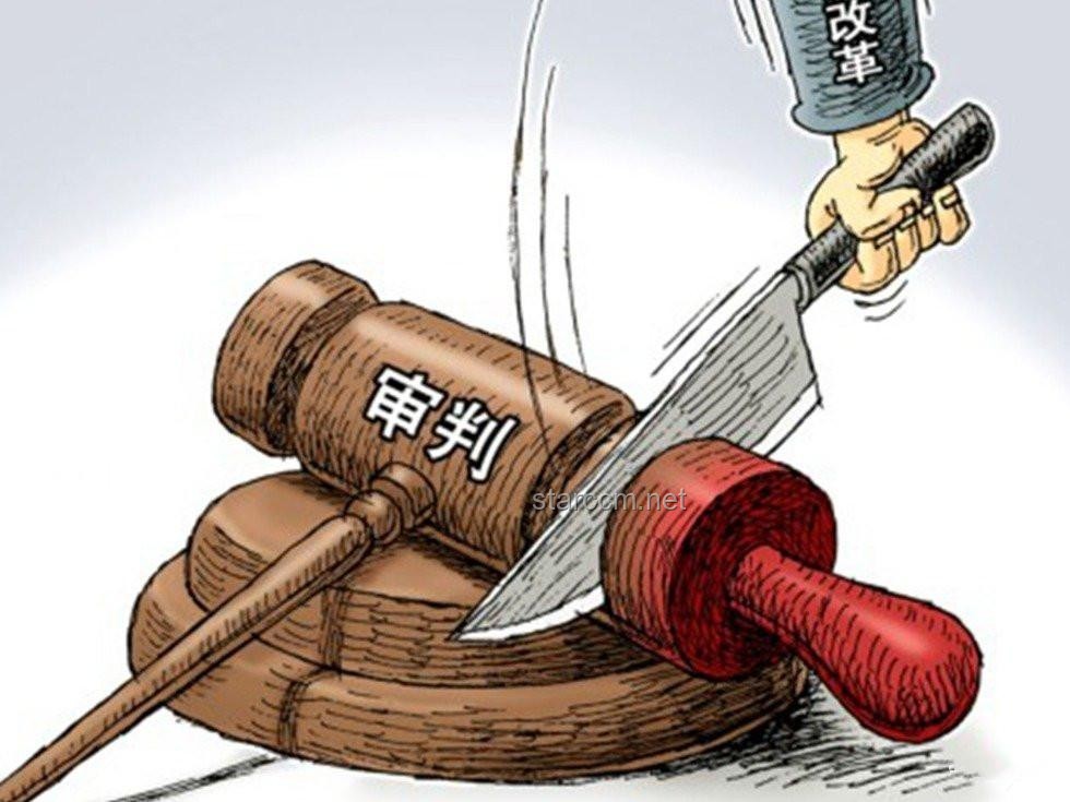 毒駕悲劇后的法律與社會變革趨勢