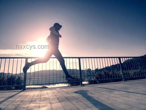 運動瘦與餓瘦的區別：健康與效果的雙重考量