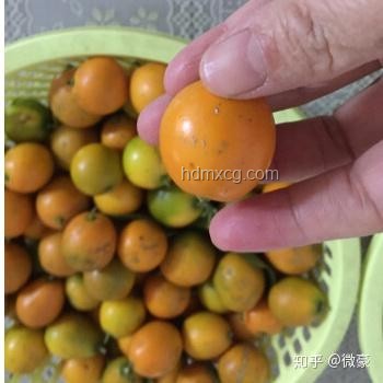 昂貴卻非營(yíng)養(yǎng)首選的水果揭秘