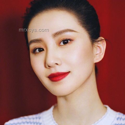 劉詩詩公眾形象與粉絲支持的對比分析