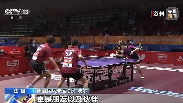 樊振東參加波爾退役儀式：見證傳奇，感悟乒乓人生