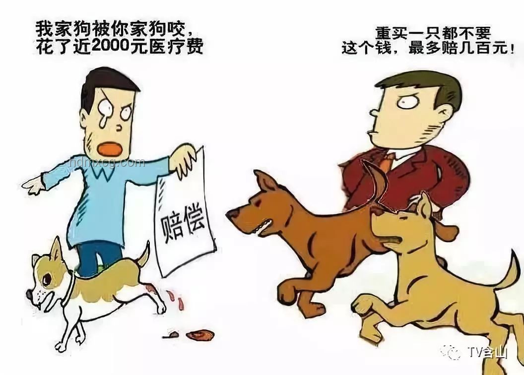 最新法規(guī)嚴(yán)懲違法出售飼養(yǎng)烈性犬行為：意義深遠(yuǎn)的社會(huì)治理創(chuàng)新