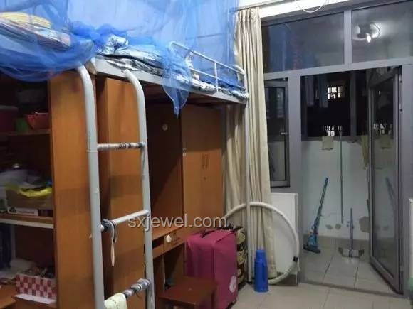 畢業季二手市場新風口：學長宿舍“寶藏”價值凸顯