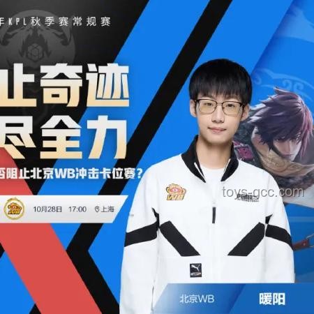 狼隊連勝遭KSG終結案例分析：團隊協(xié)作與戰(zhàn)術應變