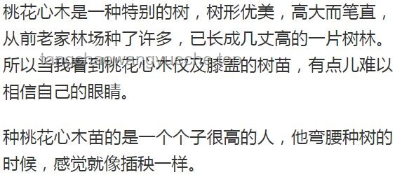 作家文章入選考試題卻失誤：文學評價與教育反思
