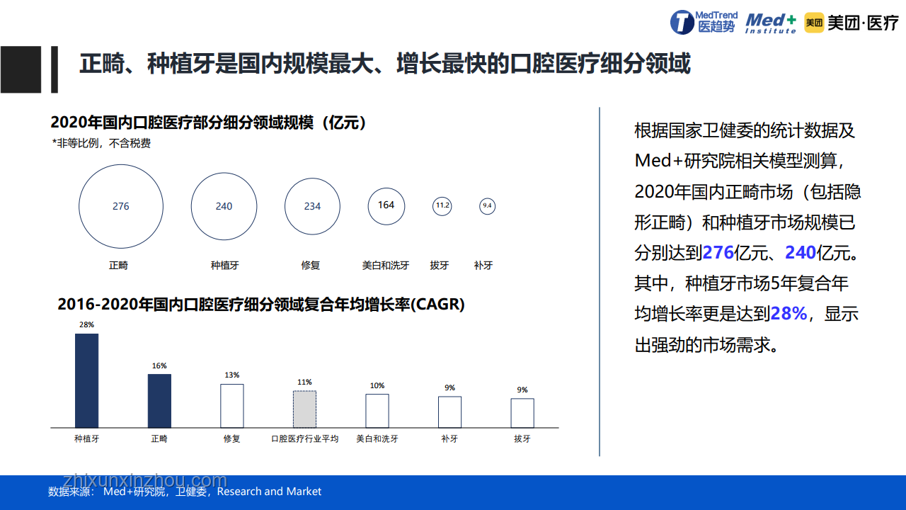 中華田園犬：從禁養到文化復興的趨勢預測