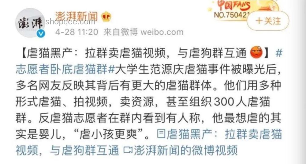 虐貓考生被取消招聘資格：如何避免職場(chǎng)道德?tīng)?zhēng)議