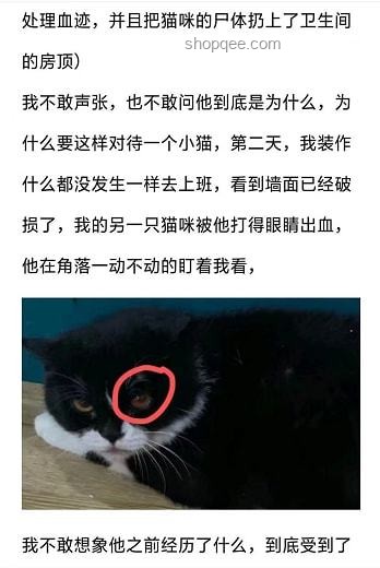 虐貓考生被取消招聘資格：如何避免職場(chǎng)道德?tīng)?zhēng)議