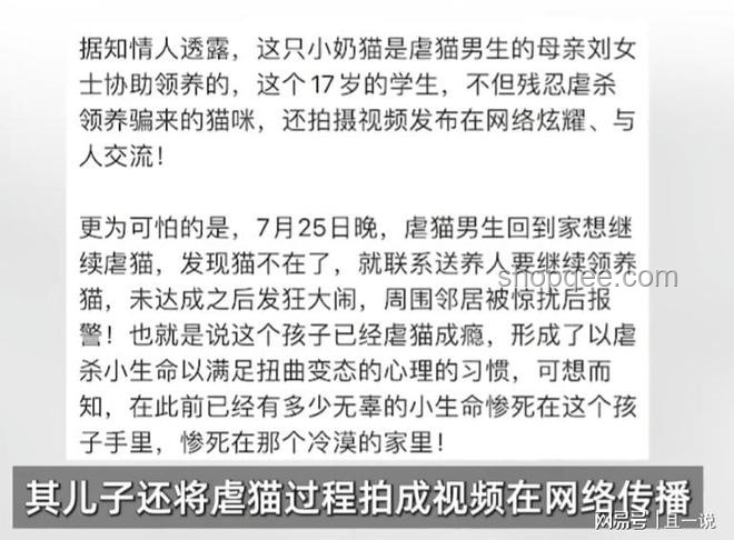 虐貓考生被取消招聘資格：如何避免職場(chǎng)道德?tīng)?zhēng)議