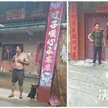 河南西峽極端強降雨應對指南：保障安全，減少損失