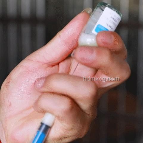 “和尚爸爸”涉嫌詐騙事件深度調查