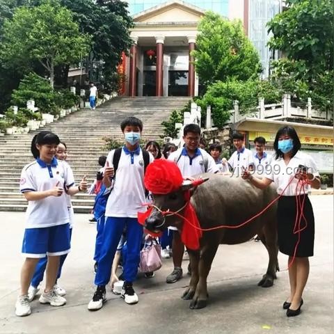 廣東高考出分深度解析與趨勢展望