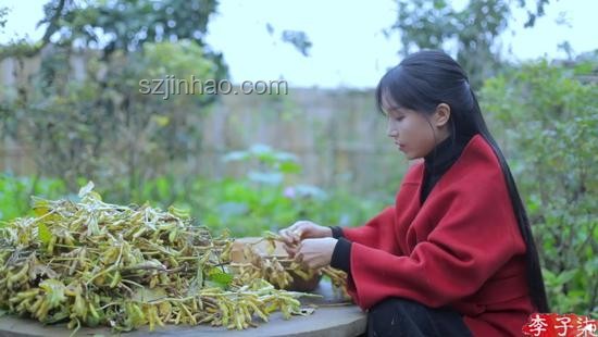再看李子柒的院子VS現代都市生活：日子過法的深度對比