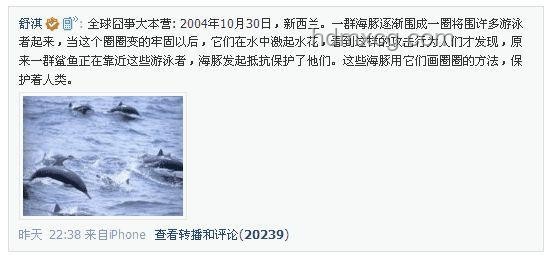 虐貓事件反思：道德品行考核的創新路徑探索