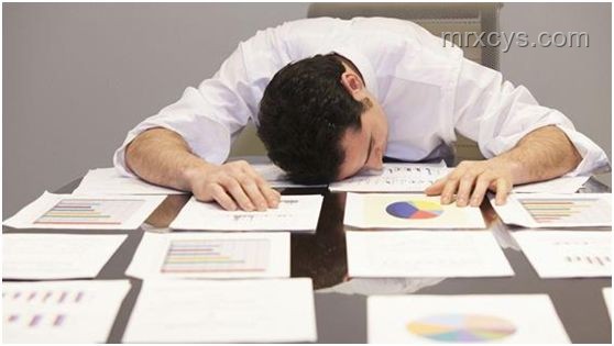 虐貓事件后的職場(chǎng)警醒：誠信與同理心的重要性