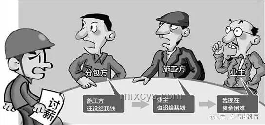 虐貓事件后的職場(chǎng)警醒：誠信與同理心的重要性
