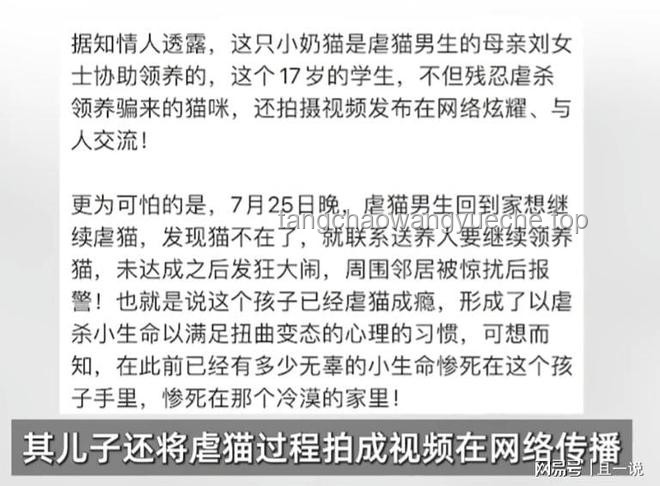 虐貓考生被取消招聘資格：防范職場(chǎng)道德風(fēng)險(xiǎn)指南