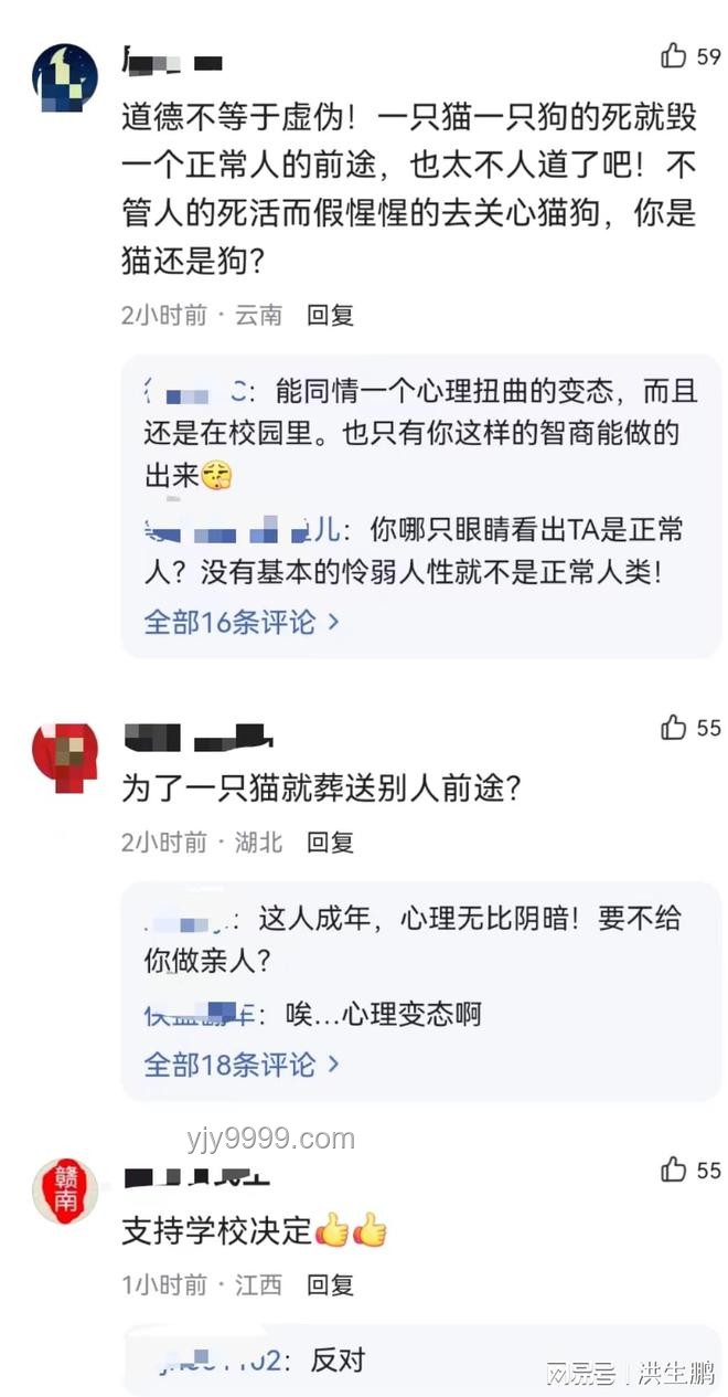 虐貓考生被取消招聘資格：避免職場道德失范指南