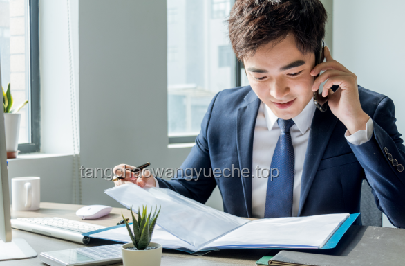 胡一天事業空窗期應對策略研究
