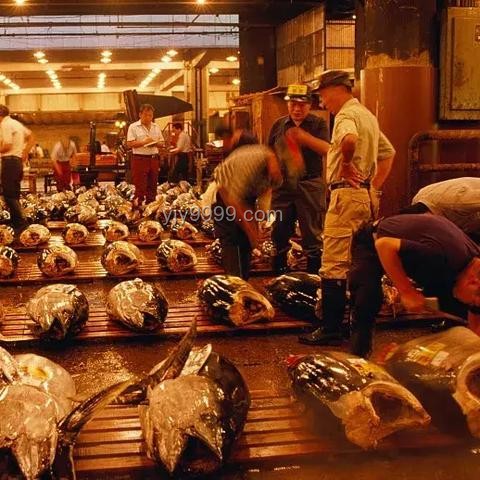 くら壽司大陸發(fā)展困境：兩年虧損8000萬(wàn)，關(guān)停所有門(mén)店案例分析