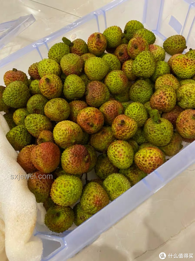 容聲冰箱憑何贏得《長安的荔枝》青睞？