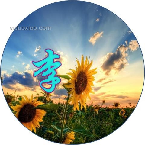 孫吧的頭像含義解析與對比分析