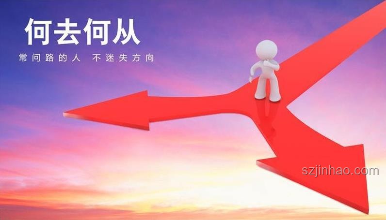 逐火的夢與現(xiàn)實：理想與現(xiàn)實生活的對比分析