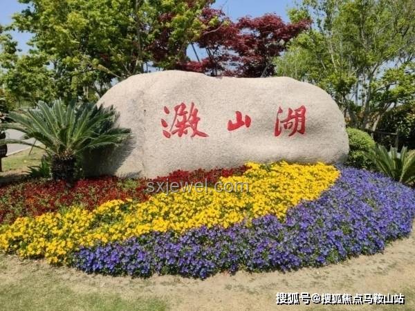 特廚探店解決方案：上海食廬餐廳熱門探秘與就餐指南