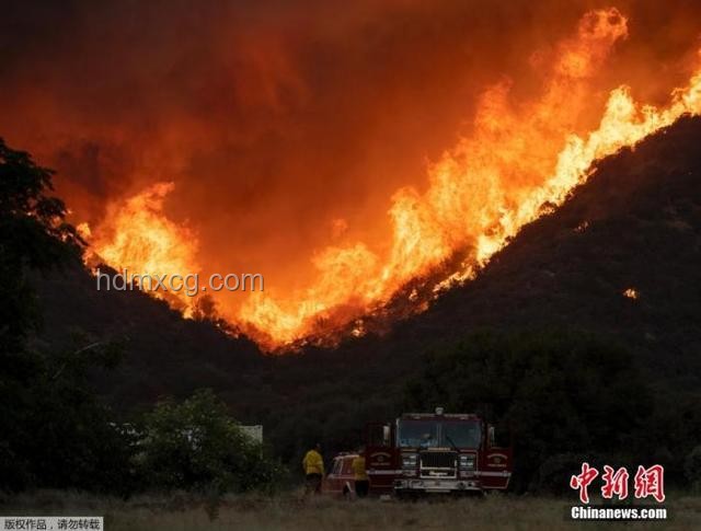 故縱山火誘殺消防員解決方案：強化防火意識與應急機制