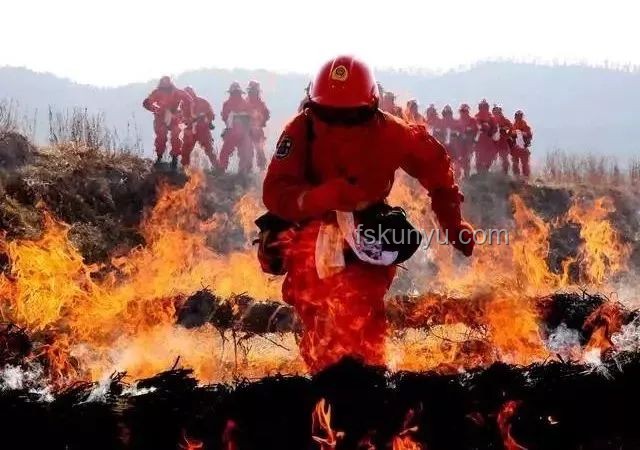 故縱山火誘殺消防員案：人性之惡與公共安全警示