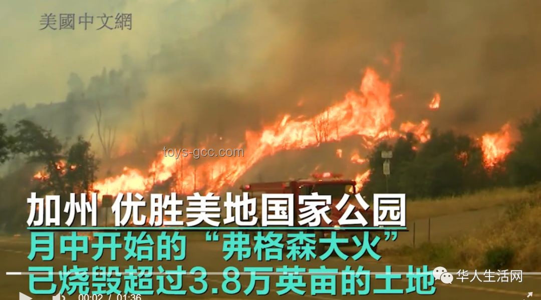 山火防控警鐘：縱火誘殺消防員事件引發(fā)的行業(yè)深度反思