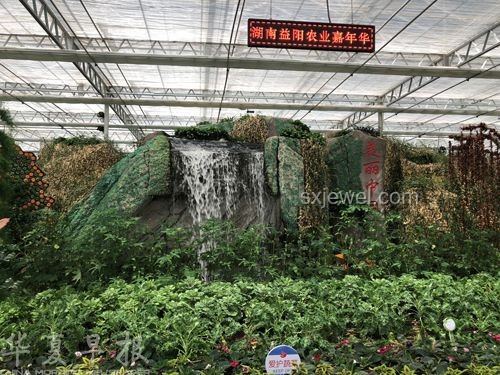 兔兔種田：現代農業創新模式下的田園新實踐