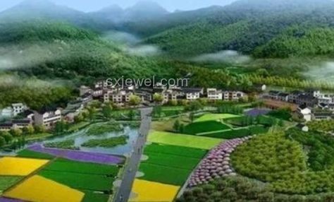兔兔種田：現代農業創新模式下的田園新實踐