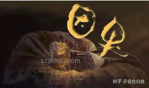 深度解析宿世因果：金長老的匆匆那年與無底洞再續前緣實用指南