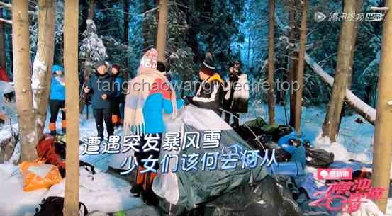 陳赫王勉林樹勇闖三角洲新圖：探險與智慧的火花碰撞??