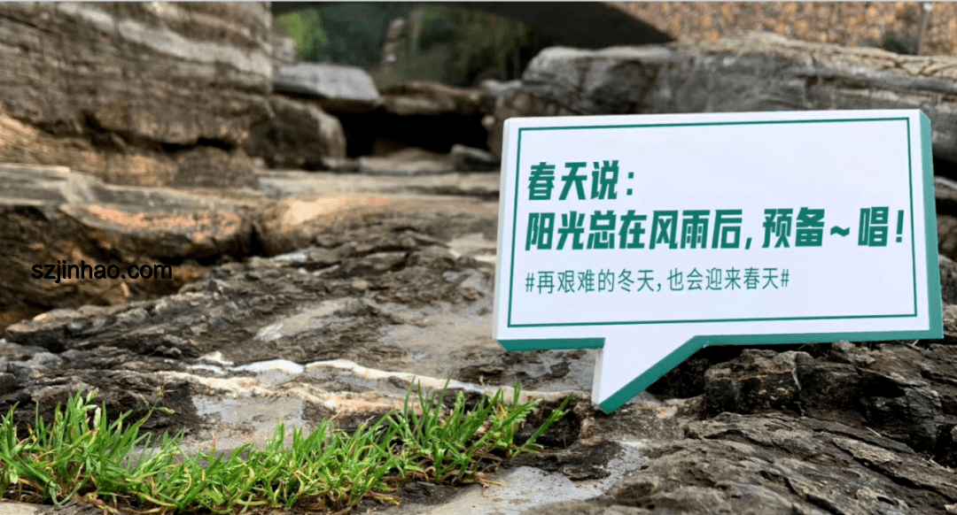預警機制與山洪賽跑：效率與生命的較量