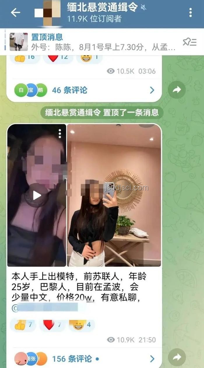 被騙至緬甸失聯模特獲救事件與跨國詐騙現象對比分析