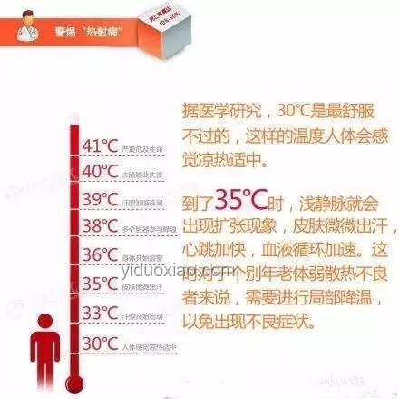 熱射病與普通中暑：高溫健康威脅的深度對比分析