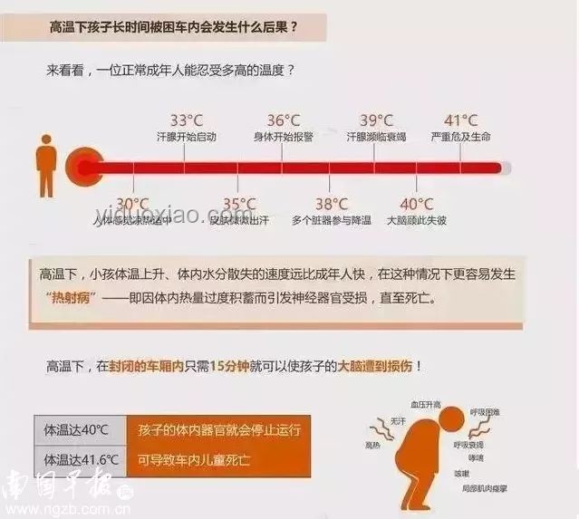 熱射病與普通中暑：高溫健康威脅的深度對比分析