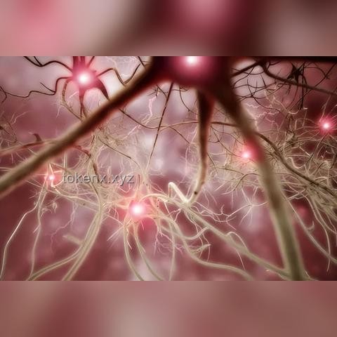警惕高溫隱形殺手：熱射病