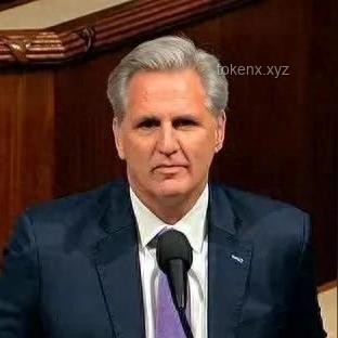 美眾議院表決通過“大而美”法案案例研究