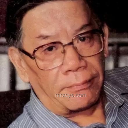 俄海軍副司令隕落之謎：間諜疑云下的創新防御戰略