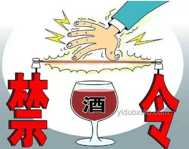 禁酒令為何難以奏效：歷史與現實的深刻反思 ??, 失敗教訓, 社會變遷, 人性探索, 政策啟示