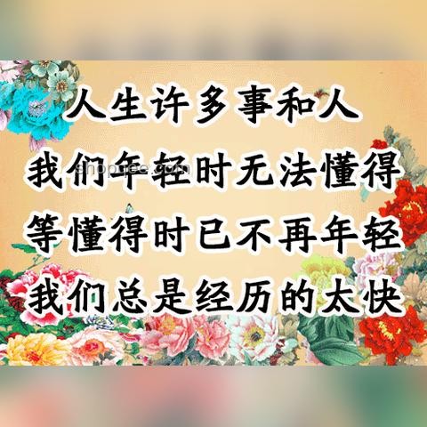 人生三階段對(duì)比分析：青春無悔、柴米油鹽、老有所樂